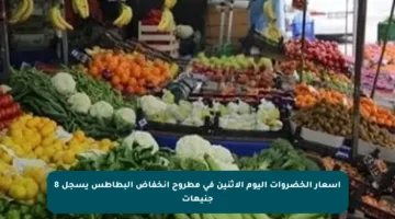 أسعار الخضروات اليوم الاثنين في مطروح انخفاض البطاطس يسجل 8 جنيهات